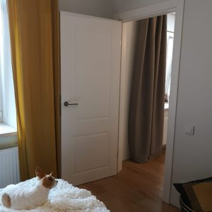 Krāsotas durvis LOZA 102 balta iekšdurvis