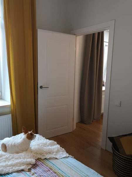 Krāsotas durvis LOZA 102 balta iekšdurvis