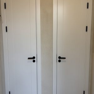 Krāsotas durvis Prodex