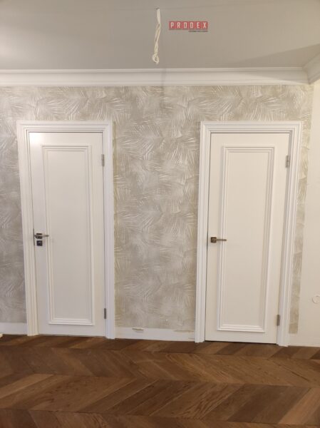 Prodex krāsotas durvis Aria 1P