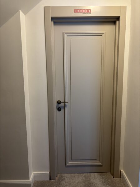 Prodex krāsotas durvis Aria 1P