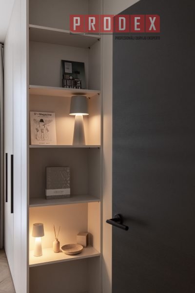 Iekšdurvis grafīts Prodex