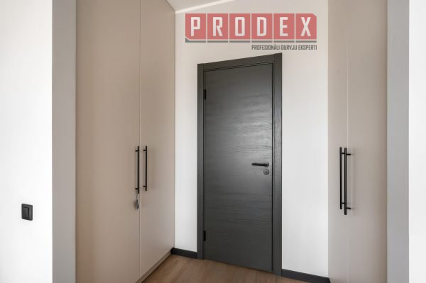Iekšdurvis grafīts Prodex