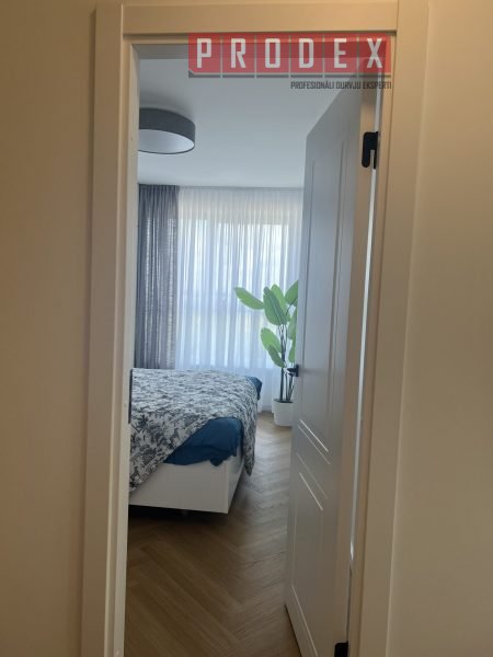 Krāsotas iekšdurvis PRODEX